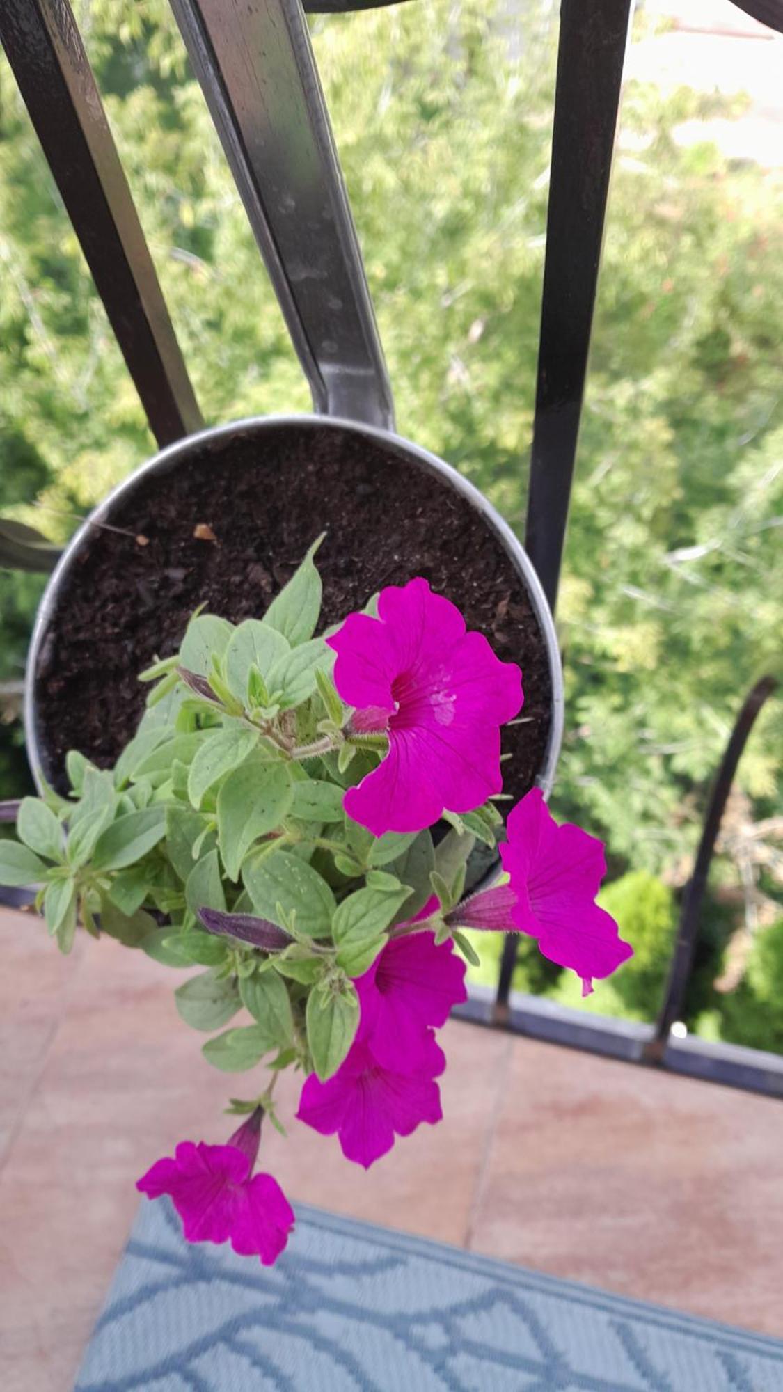 Apartamenty Puk Puk Mrągowo Extérieur photo